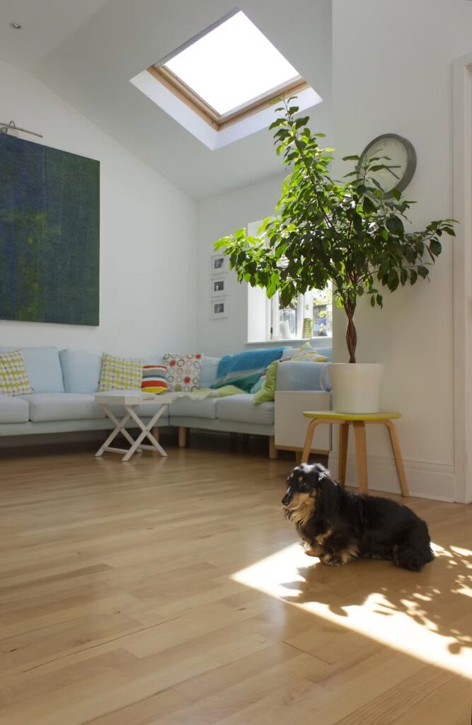 Pet-friendly finished basement space